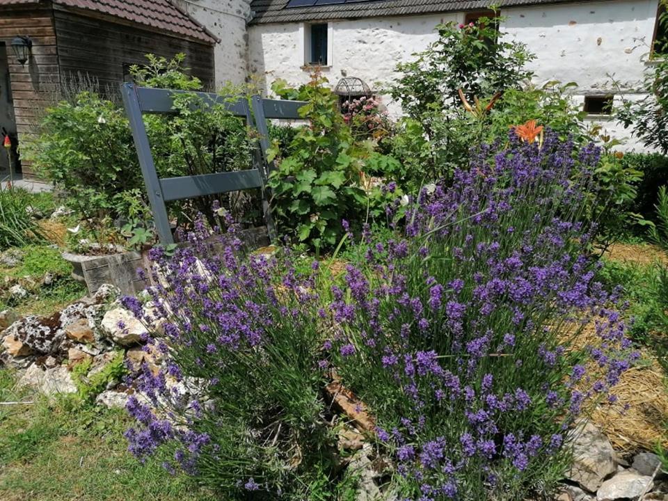 Hotellerie Jardiniers Gourmands Morsains Exteriér fotografie
