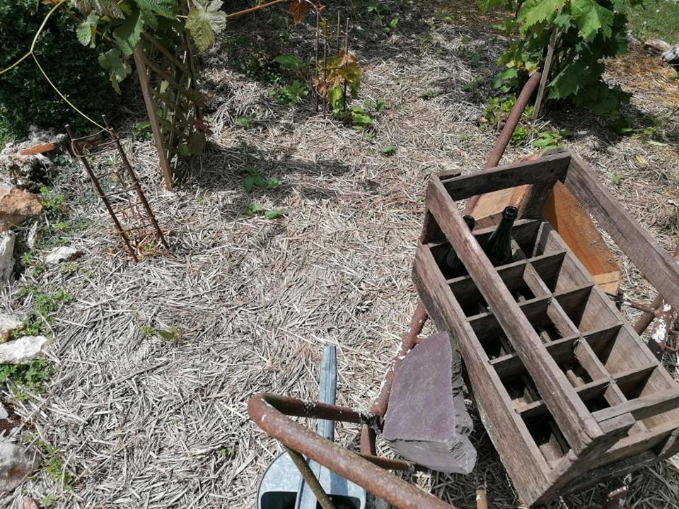 Hotellerie Jardiniers Gourmands Morsains Exteriér fotografie